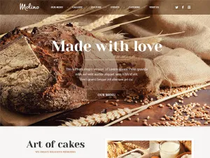Web Design 4